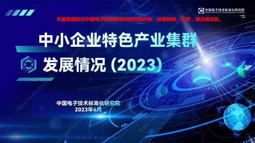 中國電子技術(shù)標(biāo)準(zhǔn)化研究院2023年中小企業(yè)特色產(chǎn)業(yè)集群發(fā)展情況 聚焦計(jì)算機(jī)網(wǎng)絡(luò)科技技術(shù)開發(fā)